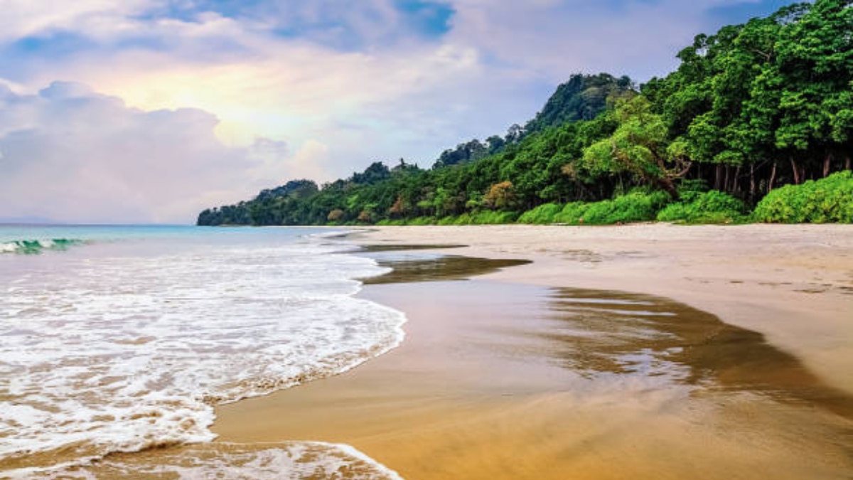 (Image Source: iStockphoto)