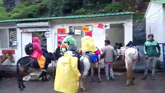 केदारनाथ धाम में घोड़ा-खच्चर वालों पर सख्ती, हाईकोर्ट के इन नियमों का करना होगा पालन केदारनाथ धाम में घोड़ा-खच्चर वालों पर सख्ती, हाईकोर्ट के इन नियमों का करना होगा पालन