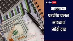 भारताच्या तिजोरीत मोठी भर, परकीय चलन साठ्यात मोठी वाढ, पाकिस्तानकडे किती साठा?