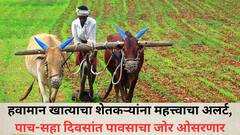 हवामान खात्याचा शेतकऱ्यांना महत्त्वाचा अलर्ट, पाच-सहा दिवसांत पावसाचा जोर ओसरणार, पेरणीची घाई करु नका!