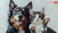 जानवरों के साथ 'गंदा काम' करने पर भारत में क्या मिलती है सजा, जानिए कितना सख्त है कानून?