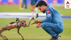 মুম্বই ম্য়াচ হারার সঙ্গে সঙ্গেই লজ্জার এক রেকর্ডের মালিক হয়ে গেলেন রশিদ খান