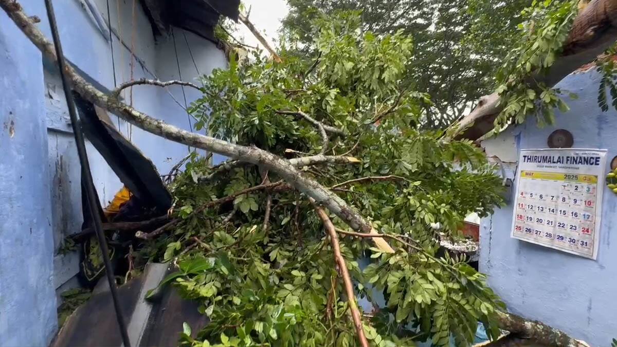 கொட்டித்தீர்க்கும் பருவ மழையால் இடுக்கி மாவட்டத்தில் பல்வேறு இடங்களில் சேதம்