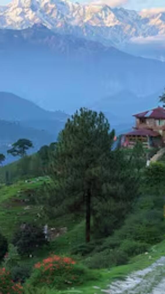 जून की तपती गर्मी में भारत की ये ठंडी जगहें देंगी आपको सुकून