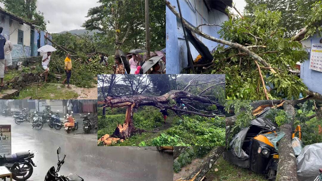 கொட்டித்தீர்க்கும் பருவ மழையால் இடுக்கி மாவட்டத்தில் பல்வேறு இடங்களில் சேதம்