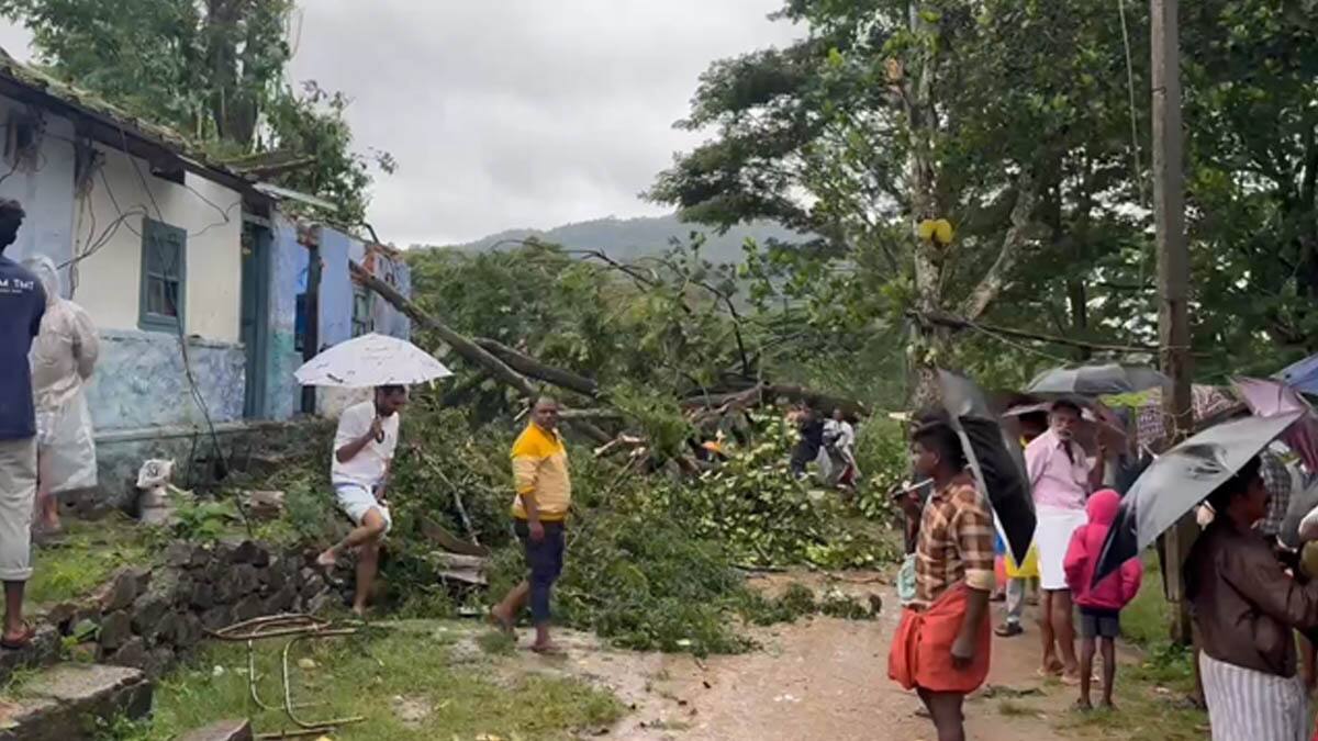 கொட்டித்தீர்க்கும் பருவ மழையால் இடுக்கி மாவட்டத்தில் பல்வேறு இடங்களில் சேதம்