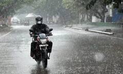 Gujarat Rain: આગામી ત્રણ કલાક આ જિલ્લાઓમાં તૂટી પડશે વરસાદ, જાણો લેટેસ્ટ અપડેટ