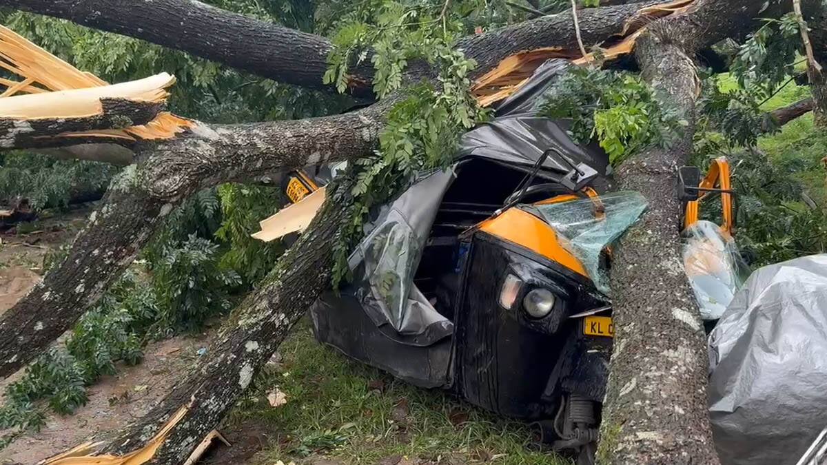 கொட்டித்தீர்க்கும் பருவ மழையால் இடுக்கி மாவட்டத்தில் பல்வேறு இடங்களில் சேதம்