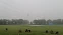 Rain, Strong Wind Hit Delhi As IMD Forecasts Stormy Weekend For NCR, IndiGo Alerts Flyers