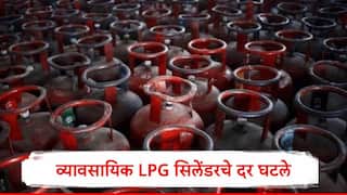 LPG Cylinder Price: हॉटेलमधील जेवण स्वस्त होणार? व्यावसायिक वापराच्या सिलेंडरचे दर 24 रुपयांनी घटले, ATF चे दर घसरले
