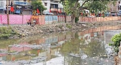 முதலமைச்சரின் ரோட் ஷோவிற்காக 15 கிலோ மீட்டருக்கு மேல் திரைச்சீலைகளால் மறைத்த மதுரை மாநகராட்சி