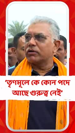তৃণমূলে কে কোন পদে আছে গুরুত্ব নেই, কার কাছে টাকা, গুন্ডা আছে তাঁর গুরুত্ব বেশি: দিলীপ ঘোষ