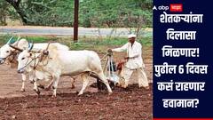 शेतकऱ्यांना मिळणार दिलासा! शेतीची कामे करता येणार, 6 जूनपर्यंत राज्यात कसं असेल हवामान? पंजाबराव डखांनी वर्तवला अंदाज 