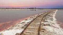 यहां है भारत की सबसे बड़ी खारे पानी की झील, इन पक्षियों के लिए है बेहद खास