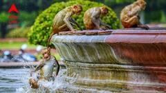 Rain Forecast News: ভাসছে উত্তরবঙ্গ, সম্পূর্ণ বিপরীত পরিস্থিতি দক্ষিণবঙ্গে! গরমে নাজেহাল পরিস্থিতি