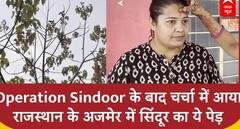 Operation Sindoor के बाद चर्चा में आया Rajasthan के Ajmer में सिंदूर का ये पेड़