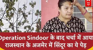 Operation Sindoor के बाद चर्चा में आया Rajasthan के Ajmer में सिंदूर का ये पेड़