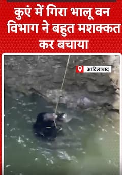 Telangana News: कुए में गिरा भालू,वन विभाग ने बचाया | shorts