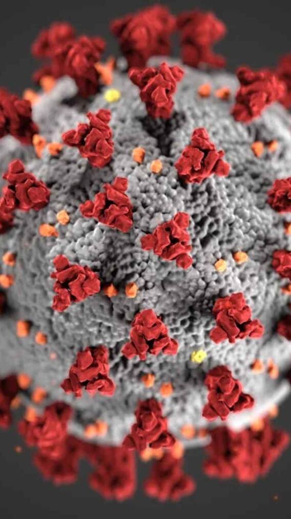 कोरोना के कितने वैरिएंट आ चुके हैं सामने?