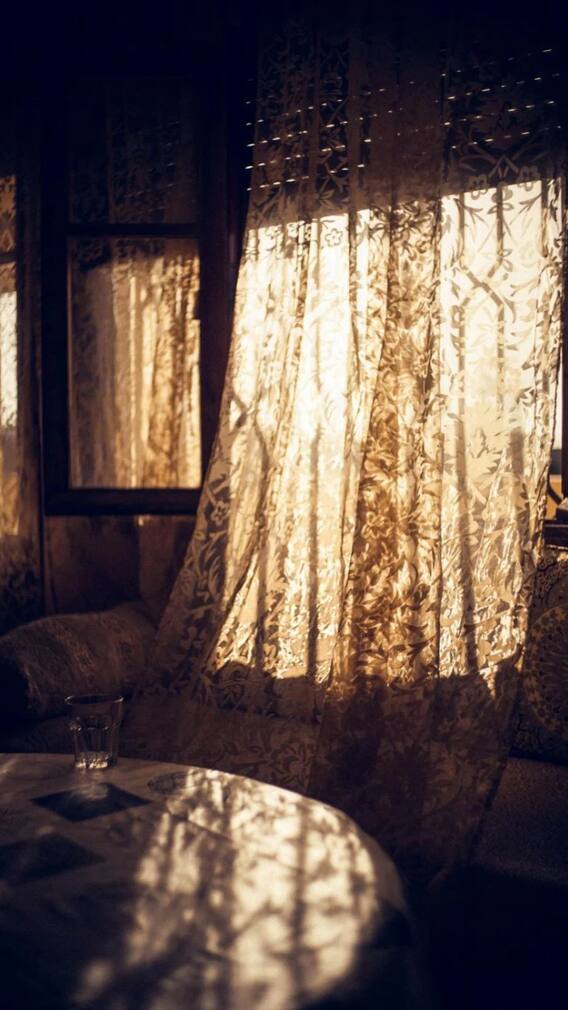 সুখ বয়ে আনবে পর্দা, বাস্তু মতে কোন রং কোথায় রাখবেন?