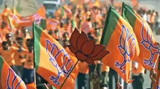 Gujarat bypolls: વિસાવદર અને કડી પેટા ચૂંટણીમાં BJPએ ઉમેદવાર કર્યા જાહેર, જાણો કોને આપી ટિકિટ