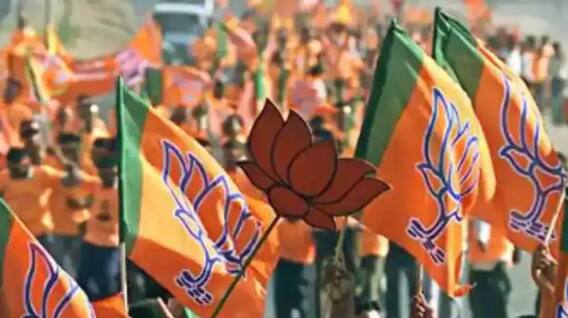 Gujarat bypolls: વિસાવદર અને કડી પેટા ચૂંટણીમાં BJPએ ઉમેદવાર કર્યા જાહેર, જાણો કોને આપી ટિકિટ