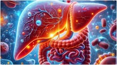 Symptoms of Liver Damage : కాలేయం దెబ్బతింటే రాత్రుళ్లు ఈ లక్షణాలు కనిపిస్తాయట.. జాగ్రత్త, విస్మరించకండి