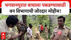 Chandrapur Bhagwanpur Tiger : рднрдЧрд╡рд╛рдирдкреВрд░ рдкрд░рд┐рд╕рд░рд╛рдд рд╡рд╛рдШрд╛рд▓рд╛ рдкрдХрдбрдгреНрдпрд╛рд╕рд╛рдареА рд╡рди рд╡рд┐рднрд╛рдЧрд╛рдЪреА рдЬреЛрд░рджрд╛рд░ рдореЛрд╣реАрдо