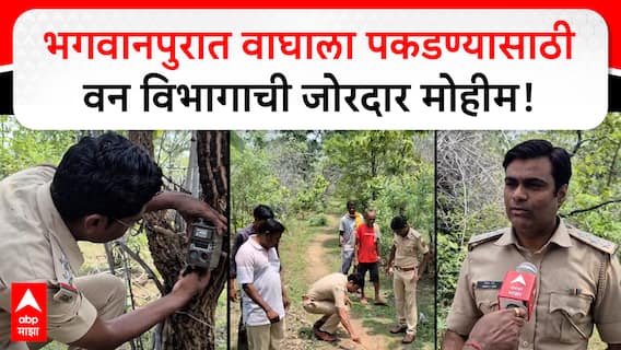 Chandrapur Bhagwanpur Tiger : भगवानपूर परिसरात वाघाला पकडण्यासाठी वन विभागाची जोरदार मोहीम