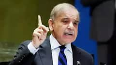 'Allies No Longer Expect Us To Beg...': Pak PM Admits Economic Struggles