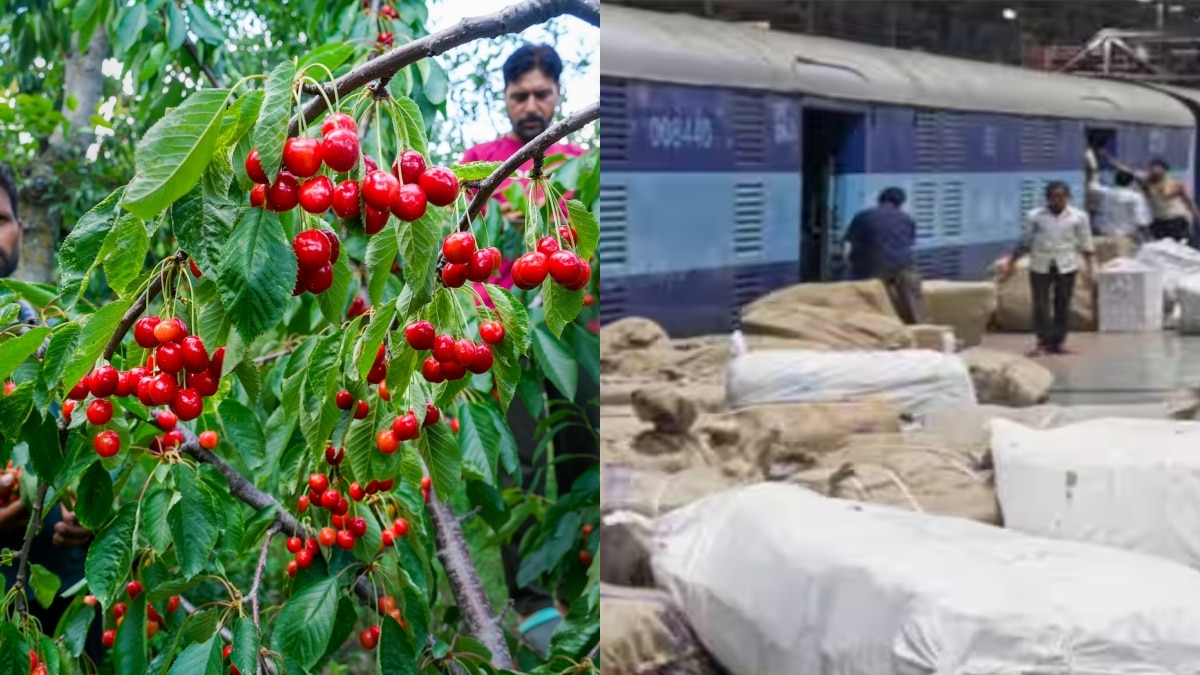 कश्मीर के कारोबारी होंगे मालामाल! पहली बार पार्सल ट्रेन 24 टन चेरी लेकर कटरा से बांद्रा रवाना, किसे होगा फायदा? 