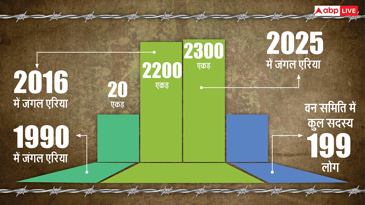 यहां पेड़ों को बच्चों की तरह पालती हैं महिलाएं, परिवार से पहले ख्याल रखकर बना डाला 2300 एकड़ का जंगल