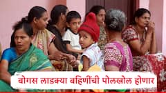 बोगस लाडक्या बहिणींची पोलखोल होणार, इन्कम टॅक्स डेटा देणार, राज्य सरकार 'इतक्या' बहिणींना लिस्टमधून काढणार?