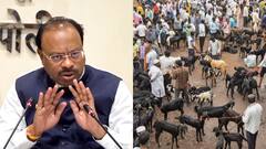 महाराष्ट्र में बकरीद से पहले 5 दिन बंद रहेंगे पशु बाजार, विवाद के बीच मंत्री बोले- 'मुझे लगता है कि...'