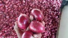 किस इलाके का प्याज होता है सबसे अच्छा? जानें इस खास प्याज का नाम