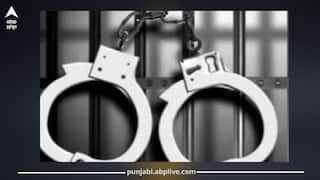 Punjabi Arrested in USA: ਪੰਜਾਬੀਆਂ ਨੇ ਅਮਰੀਕਾ 'ਚ ਕੀਤਾ ਸ਼ਰਮਨਾਕ ਕਾਰਾ, 12 ਨੌਜਵਾਨ ਗ੍ਰਿਫਤਾਰ