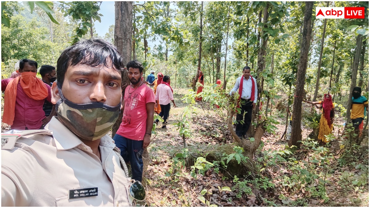 यहां पेड़ों को बच्चों की तरह पालती हैं महिलाएं, परिवार से पहले ख्याल रखकर बना डाला 2300 एकड़ का जंगल