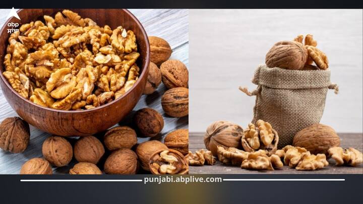 ਅਖਰੋਟ ਸਿਹਤ ਲਈ ਫਾਇਦੇਮੰਦ ਹਨ, ਪਰ ਇਨ੍ਹਾਂ ਨੂੰ ਸਹੀ ਤਰ੍ਹਾਂ ਸਟੋਰ ਕਰਨਾ ਔਖਾ ਹੁੰਦਾ ਹੈ। ਕਈ ਵਾਰ ਇਹ ਘੁਣ ਲੱਗ ਜਾਂਦੇ ਹਨ ਜਾਂ ਛੋਟੇ ਕੀੜੇ ਖਰਾਬ ਕਰ ਦਿੰਦੇ ਹਨ, ਜਿਸ ਨਾਲ ਸਾਰੇ ਅਖਰੋਟਾਂ ਨੂੰ ਬਾਹਰ ਸੁੱਟਣਾ ਪੈਂਦਾ ਹੈ।