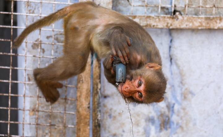 চূড়ান্ত গরমে হাঁসফাঁস অবস্থা দক্ষিণবঙ্গে। অন্যদিকে উত্তরবঙ্গে আজও বিক্ষিপ্ত বৃষ্টিপাতের সম্ভাবনা। উত্তর থেকে দক্ষিণ, আজ সারাদিনে কেমন থাকবে গোটা পশ্চিমবঙ্গের আবহাওয়া? জেনে নেওয়া যাক এক নজরে।