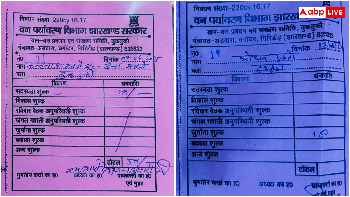 यहां पेड़ों को बच्चों की तरह पालती हैं महिलाएं, परिवार से पहले ख्याल रखकर बना डाला 2300 एकड़ का जंगल