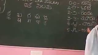 Punjab Telugu: తెలుగు నేర్చుకుంటున్న పంజాబీ పిల్లలు - వైరల్ అవుతున్న వీడియో