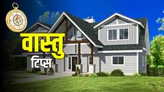 Vastu Tips For Tree: घर में गलती से भी न लगाएं ये 2 पेड़, नहीं तो उठाना पड़ सकता है नुकसान