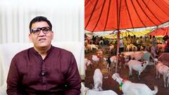 बकरीद पर कुर्बानी को लेकर महाराष्ट्र अल्पसंख्यक आयोग के अध्यक्ष बोले- 'अल्लाह ने फरमाया है कि...'