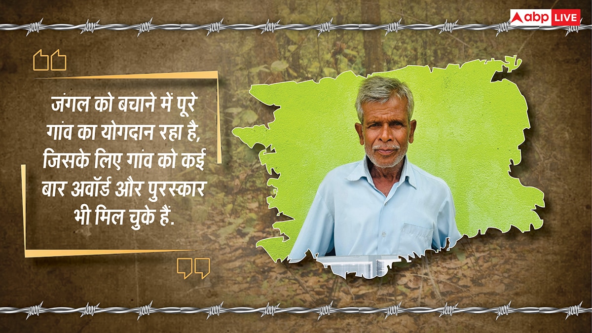 यहां पेड़ों को बच्चों की तरह पालती हैं महिलाएं, परिवार से पहले ख्याल रखकर बना डाला 2300 एकड़ का जंगल