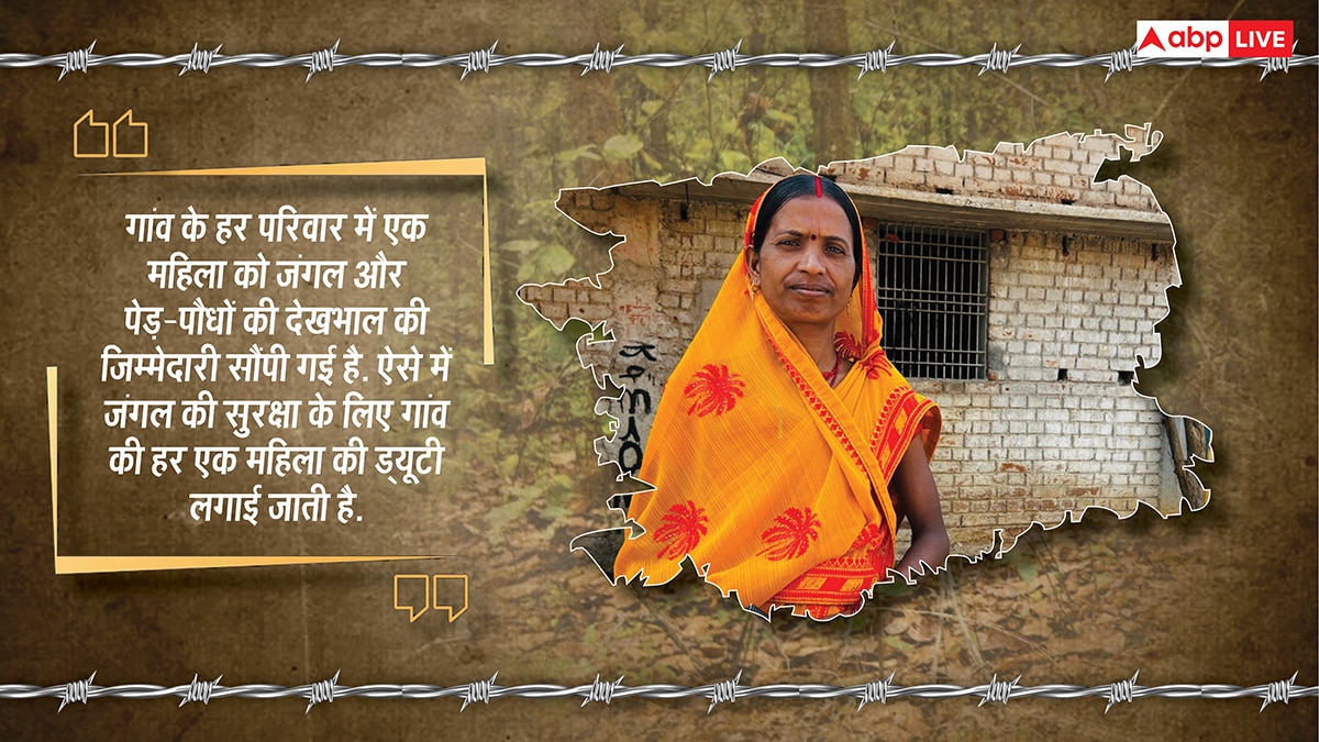 यहां पेड़ों को बच्चों की तरह पालती हैं महिलाएं, परिवार से पहले ख्याल रखकर बना डाला 2300 एकड़ का जंगल