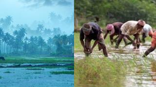 Maharashtra Rain Farmers: यंदाचा पाऊस खास का ठरणार, शेतकऱ्यांना सोन्याचे दिवस का येणार? डॉ. पंजाबराव डख यांनी सांगितलं कारण