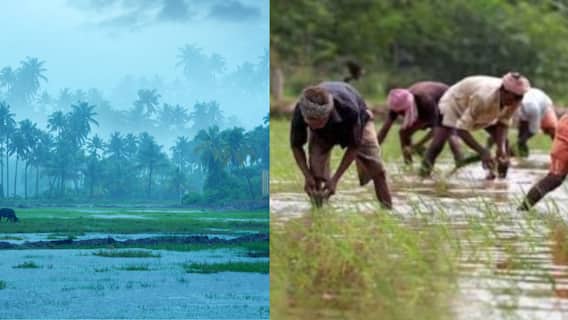 Maharashtra Rain Farmers: यंदाचा पाऊस खास का ठरणार, शेतकऱ्यांना सोन्याचे दिवस का येणार? डॉ. पंजाबराव डख यांनी सांगितलं कारण