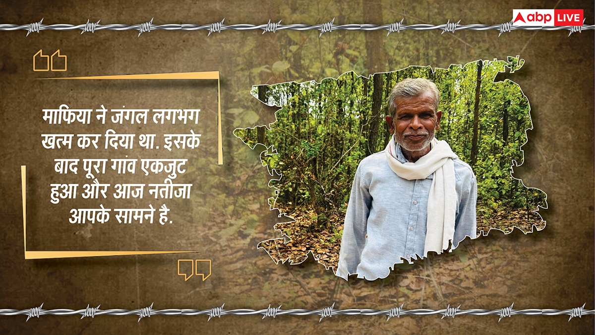 यहां पेड़ों को बच्चों की तरह पालती हैं महिलाएं, परिवार से पहले ख्याल रखकर बना डाला 2300 एकड़ का जंगल
