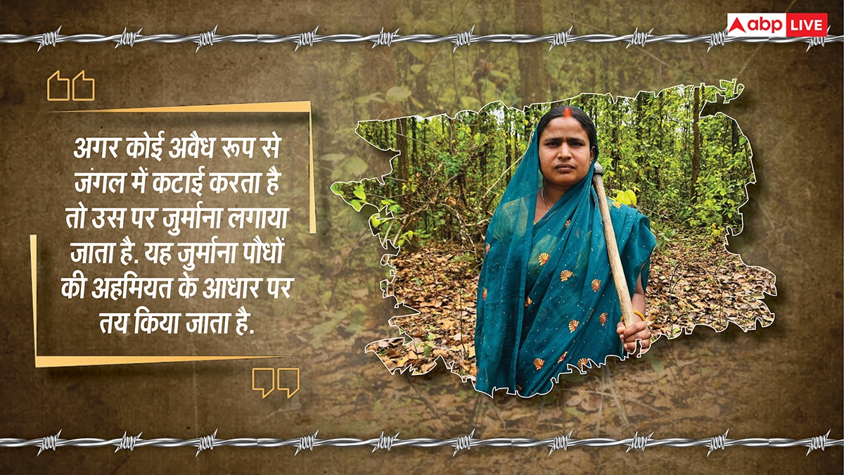 यहां पेड़ों को बच्चों की तरह पालती हैं महिलाएं, परिवार से पहले ख्याल रखकर बना डाला 2300 एकड़ का जंगल