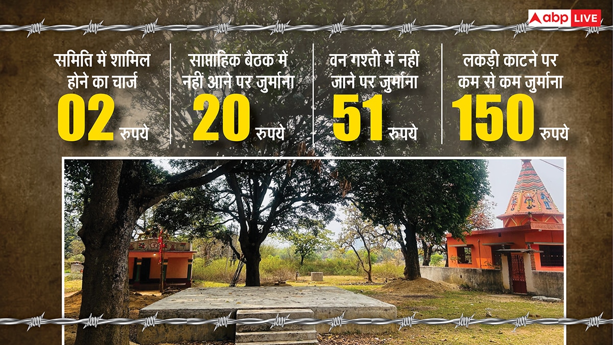 यहां पेड़ों को बच्चों की तरह पालती हैं महिलाएं, परिवार से पहले ख्याल रखकर बना डाला 2300 एकड़ का जंगल